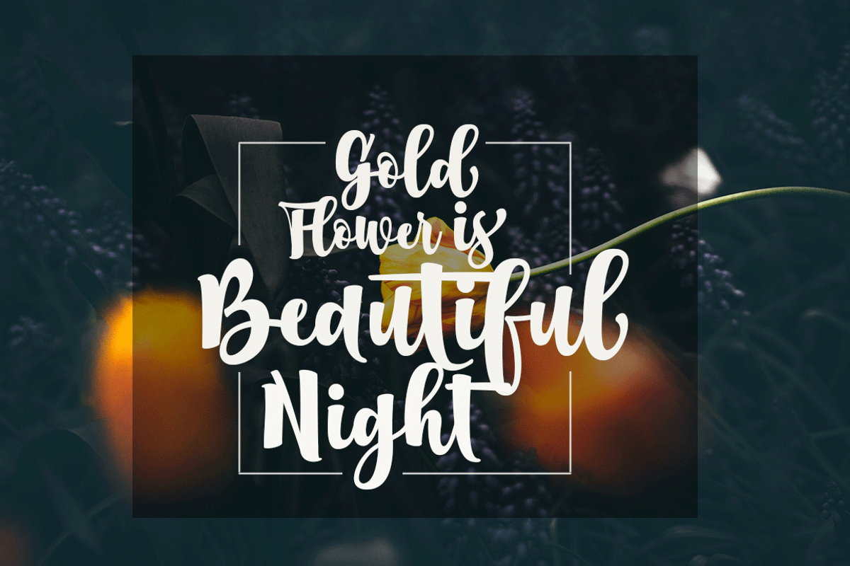 Boston (fonts duo) preview 4