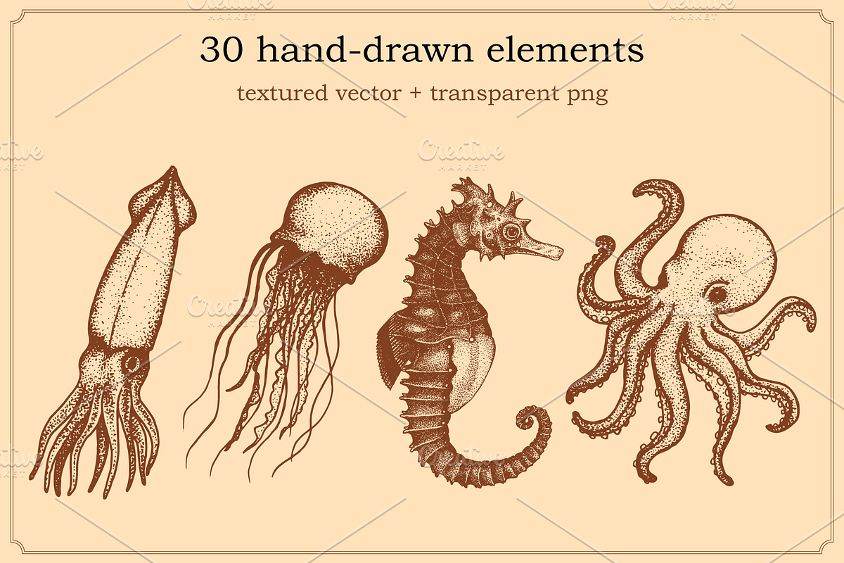 Marine Animal Hand Drawn Elements, an Animal Illustration by Artolabs (Photo 4 of 6)