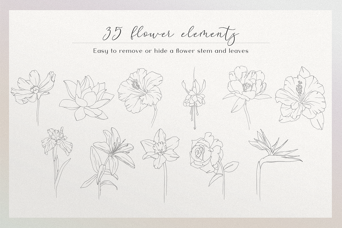 Blossom - floral line art, an Illustration by Anna.Klets (Photo 3 of 14)