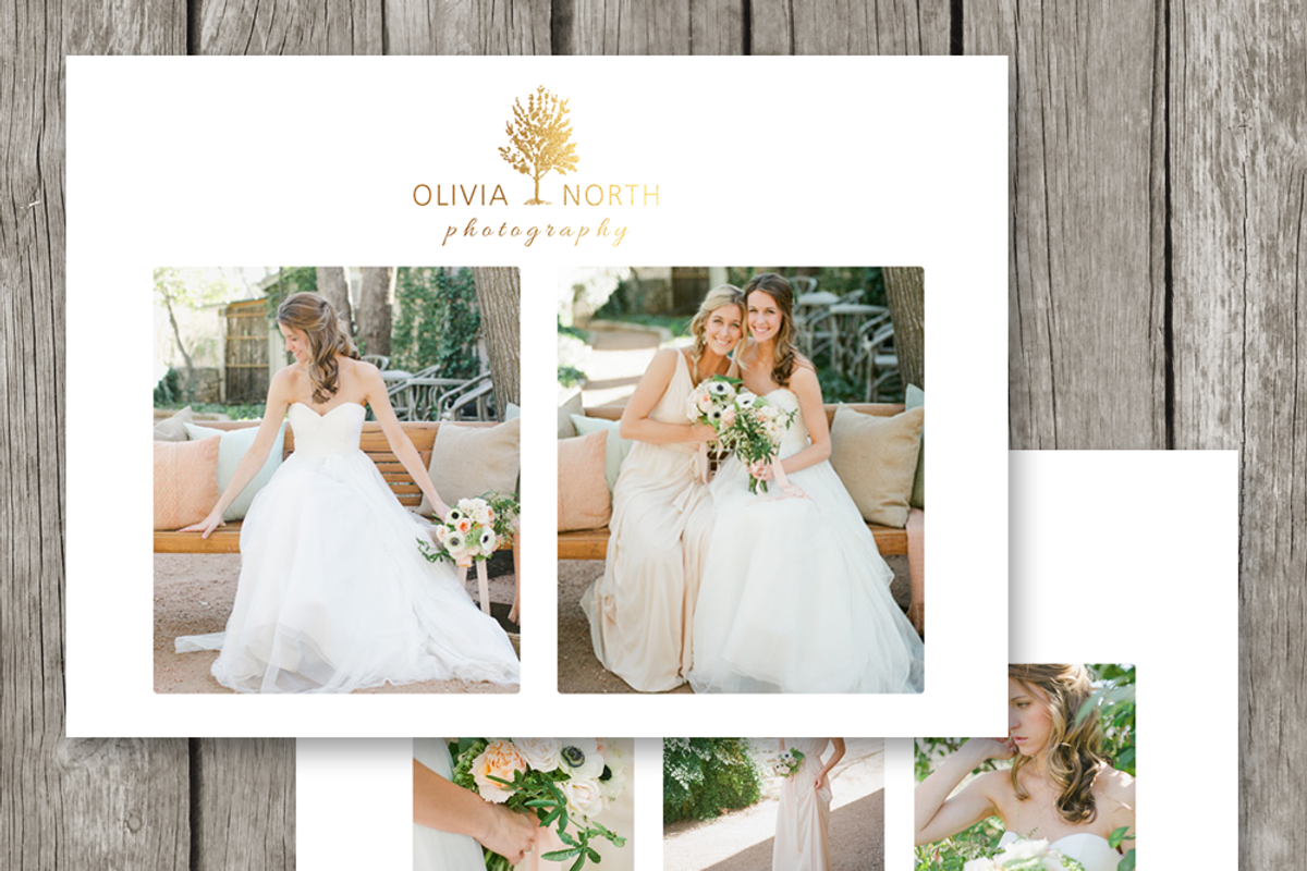 Marketing Flyer - Gold Foil Logo, a Flyer Template by Stillbrook Designs (Photo 2 of 3)