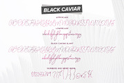 Handlettered Fonts Collection, a Script Font by Ivan Rosenberg (Thumbnail 10 of 18)