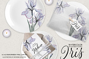 Transparent flowers of iris., an Illustration by RushkinaAntonina (Thumbnail 4 of 6)