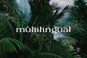 Modern & Elegant Font Bundle, a Serif Font by Schrifted Type (Thumbnail 28 of 31)