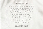 Hartens - Serif Script Font Duo, a Serif Font by Bale Type (Thumbnail 12 of 13)