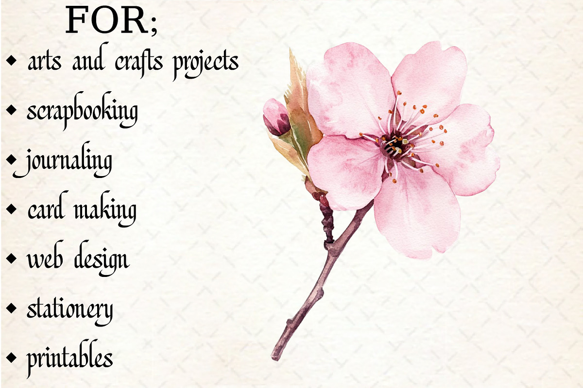 Watercolor Flower Clipart, an Illustration by Libby Wishes (Photo 5 of 6)