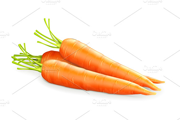 Carrot Vegetables Vector Icon