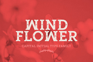 WINDFLOWER FONT