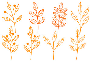 Autumn Plants. Orange Plants. Branch