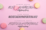 Premium Font Bundle, a Script Font by Flycatcher Design (Thumbnail 39 of 140)