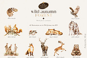 Wild autumn forest - watercolor fall, an Animal Illustration by Pamyatka Shop (Thumbnail 16 of 16)