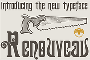 Renouveau, a Serif Font by Intellecta Design (Thumbnail 4 of 11)