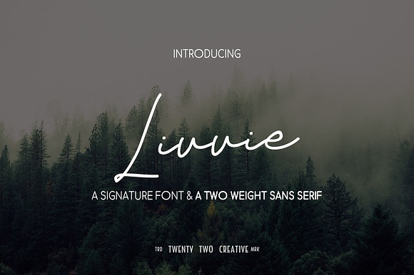 Livvie - Signature & Sans Font Duo preview 8