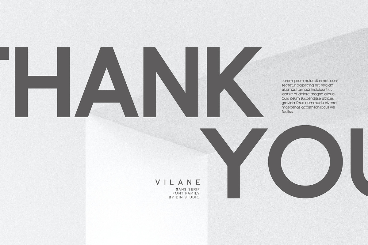 Vilane, a Script Font by din-studio.com (Photo 11 of 11)