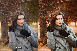 25 Autumnal Photoshop Actions