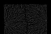 Growth - 10 Backgrounds, a Texture Graphic by GarryKillian (Thumbnail 7 of 11)