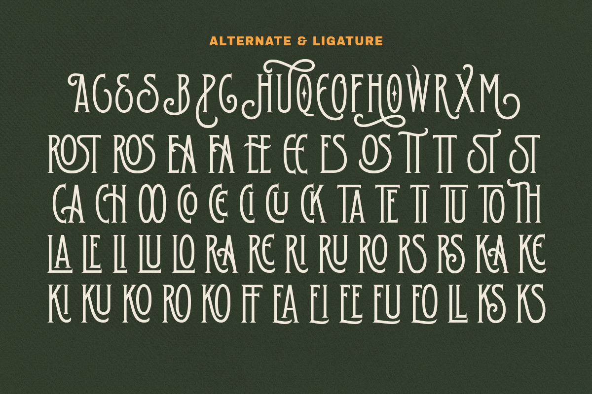 Hustle Culture Vintage Display, a Serif Font by Letterhend Studio (Photo 6 of 10)