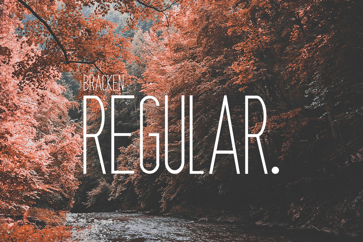 Bracken | A Hipster Font Family, a Sans Serif Font by Zone 6 (Photo 2 of 8)