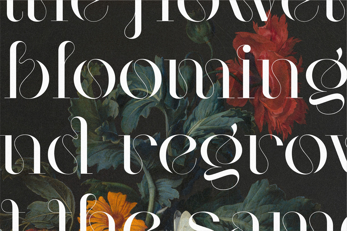 Mogen Serif Font, a Serif Font by Letteralle Studios (Photo 6 of 11)