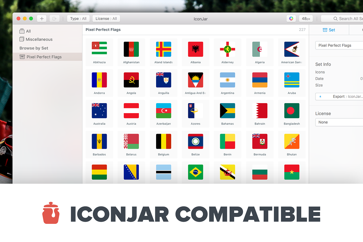 Pixel Perfect Flags, an Icon by David Perel (Photo 2 of 3)