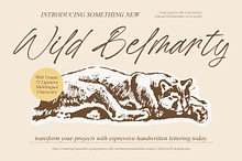 Wild Belmarty Casual Handwritten