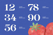 Rengid Afikan Bold Serif Display, a Serif Font by timelesstype.co (Thumbnail 7 of 10)