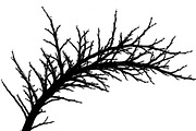 Winter Snow Silhouettes feature, an Illustration by Amazin_art (Thumbnail 37 of 42)