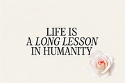 Mountella - 18 Serif Font Family, a Serif Font by Kereatype (Thumbnail 12 of 15)