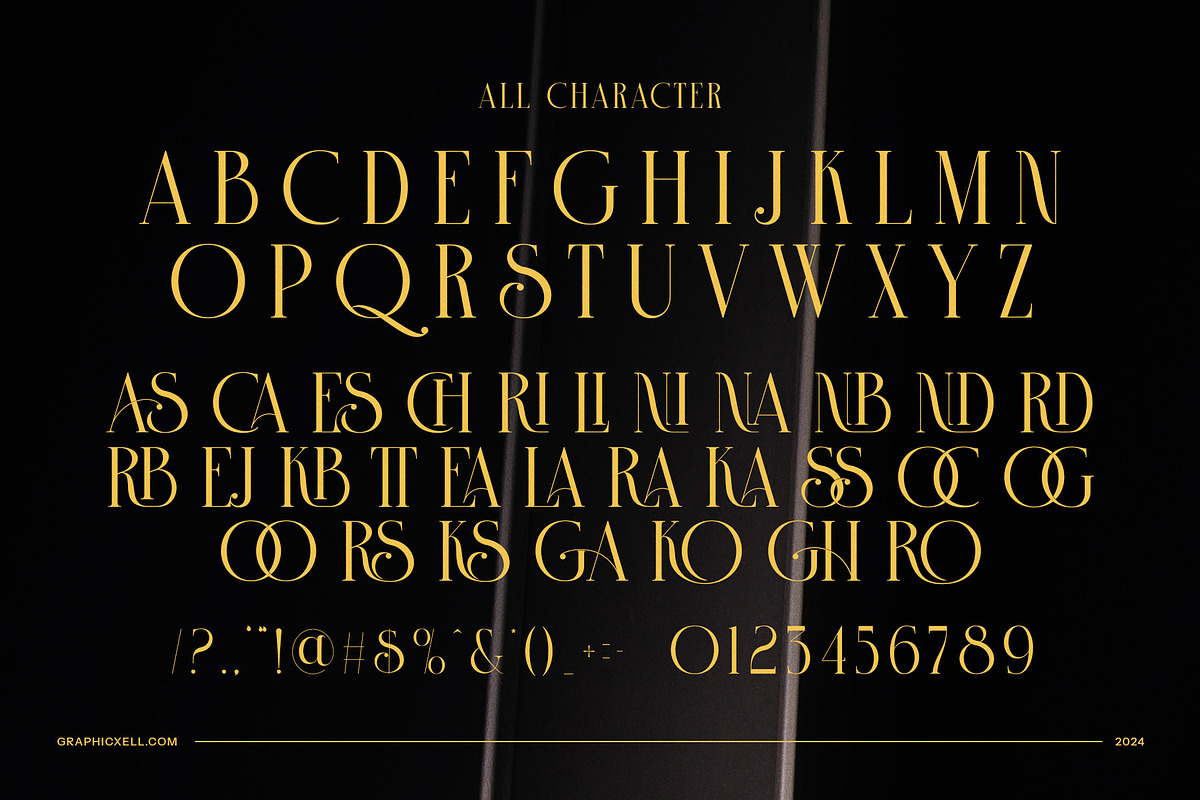 Trends 2025 Serif Font, a Serif Font by Graphicxell (Photo 8 of 8)
