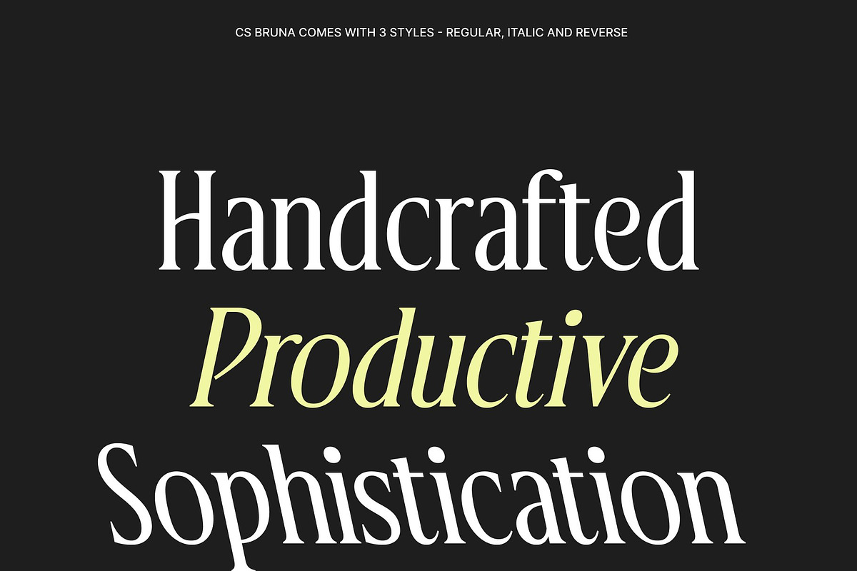 CS Bruna – Contemporary Font, a Serif Font by Craft Supply Co. (Photo 4 of 8)