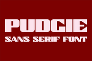 Pudgie - Sans Serif Font, a Font by GG Design (Thumbnail 1 of 6)