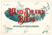 Vintage Hand Drawn Birds, an Object Graphic by Mr Vintage (Thumbnail 1 of 6)