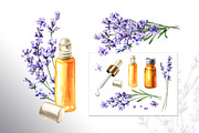 Lavender Mood, a Decorative Illustration by Daria Ustiugova (Thumbnail 13 of 14)