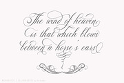 Glaston Romantic Calligraphy, a Script Font by Ef Studio (Thumbnail 2 of 13)