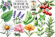Botanical Wellness Watercolor Clipar, an Illustration by Daily.Designs (Thumbnail 1 of 4)