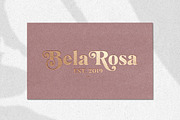 Mogan Serif Font + Extras, a Font by Heritage Type Co. (Thumbnail 12 of 16)
