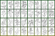 Wild Flowers Coloring Page, a Graphic by Forhadx5 (Thumbnail 5 of 15)