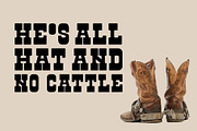 Second Rodeo, a Slab Serif Font by Loudoun Design Co. (Thumbnail 6 of 6)