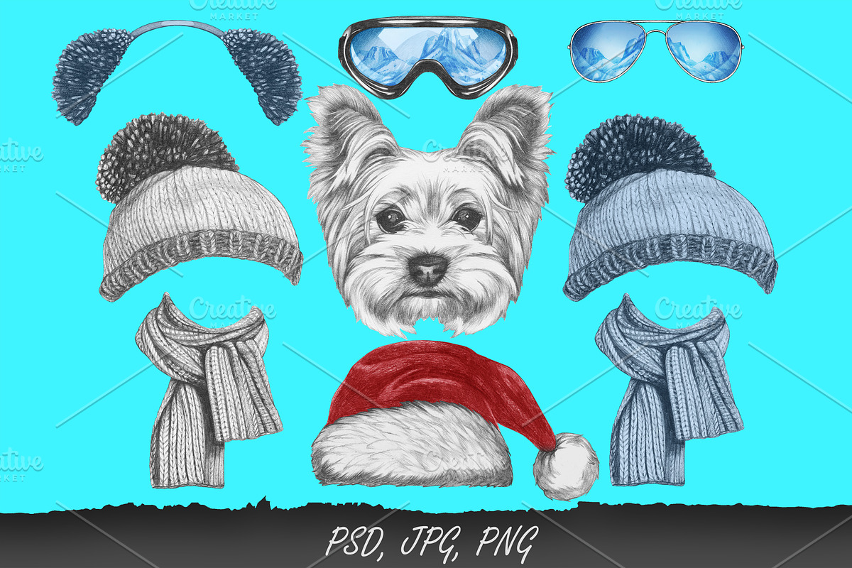 Yorkshire terrier / Wintertime, an Animal Illustration by Victoria_Novak (Photo 2 of 3)