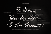 Ratfeylino | Elegant Calligraphy, a Script Font by Denustudios (Thumbnail 7 of 12)