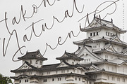 Garden Silent Elegant Script Font, a Script Font by stylishtype.co (Thumbnail 9 of 20)