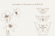 The Procreate Botanical Box, a Brush Add-On by Just Bia (Thumbnail 10 of 15)
