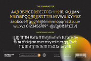 Netadyne, a Sans Serif Font by Godbless Studio (Thumbnail 8 of 9)