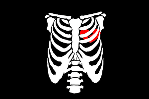 Skeleton Heart