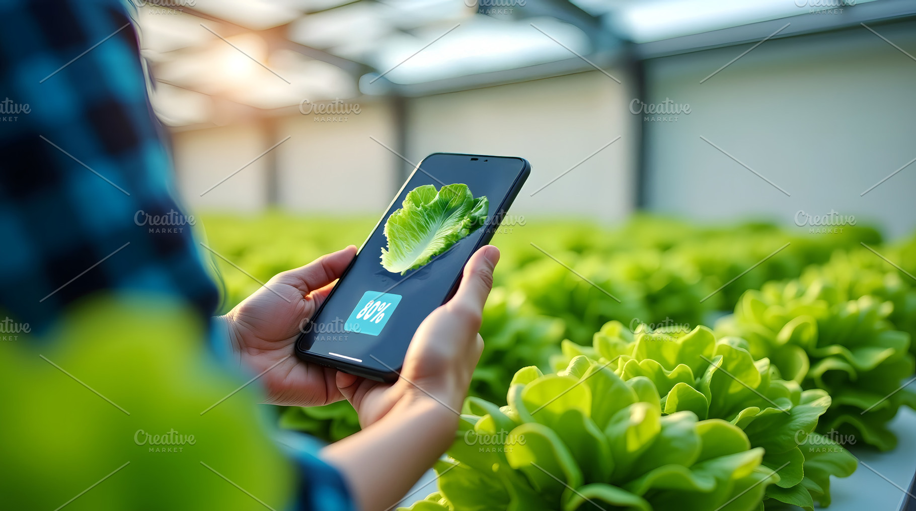 Farmer Using Tech in Hydroponic Gree, a Food & Drink Photo by Stock Shape