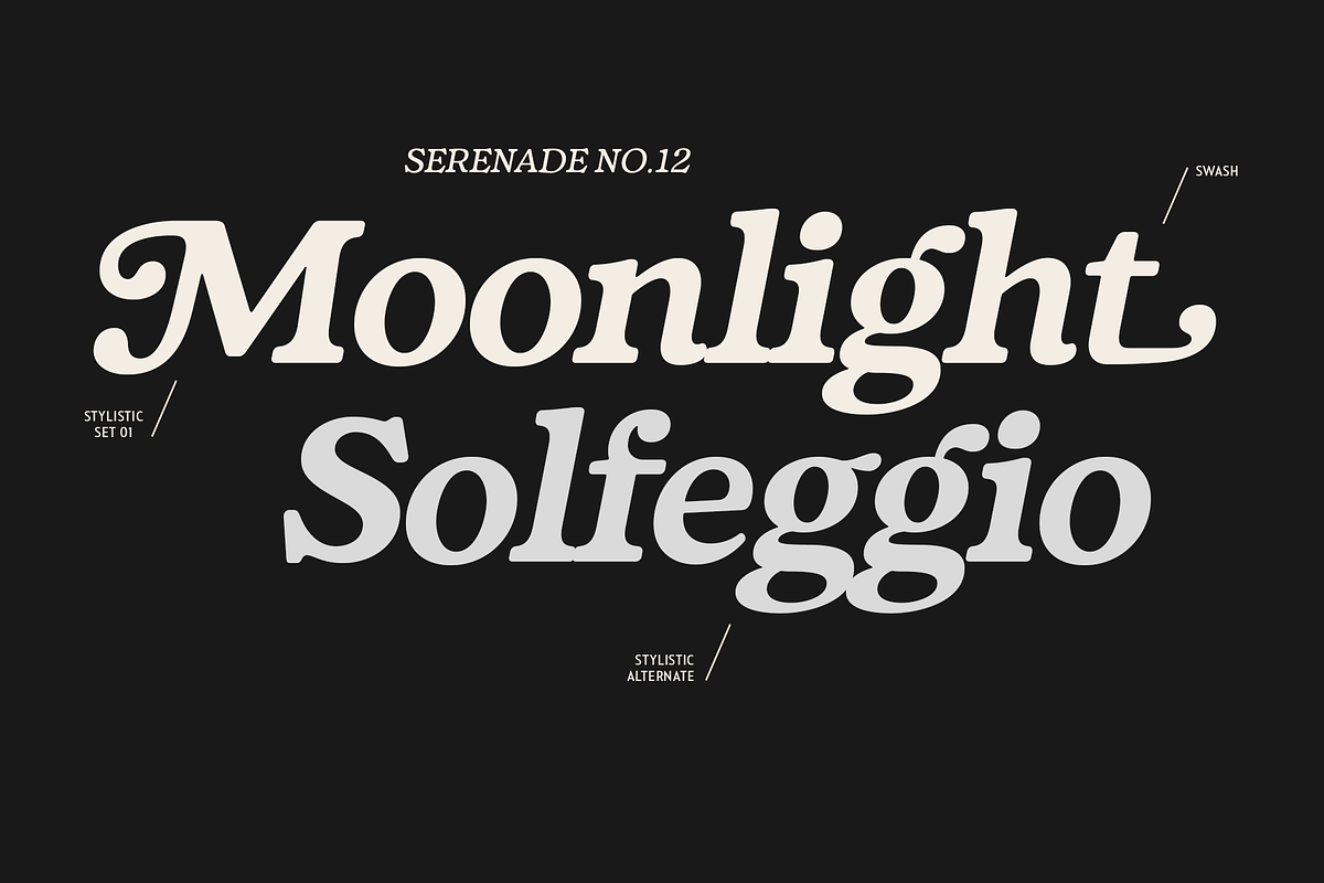 Fedro - 14 Fonts, a Serif Font by Nasir Udin (Photo 15 of 20)