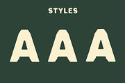 Verine - Classic Elegant Font, a Font by Blazing Sun Creative (Thumbnail 2 of 8)