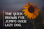 Ombridge - Slab Serif Font, a Slab Serif Font by Iqsiart Studio (Thumbnail 9 of 9)