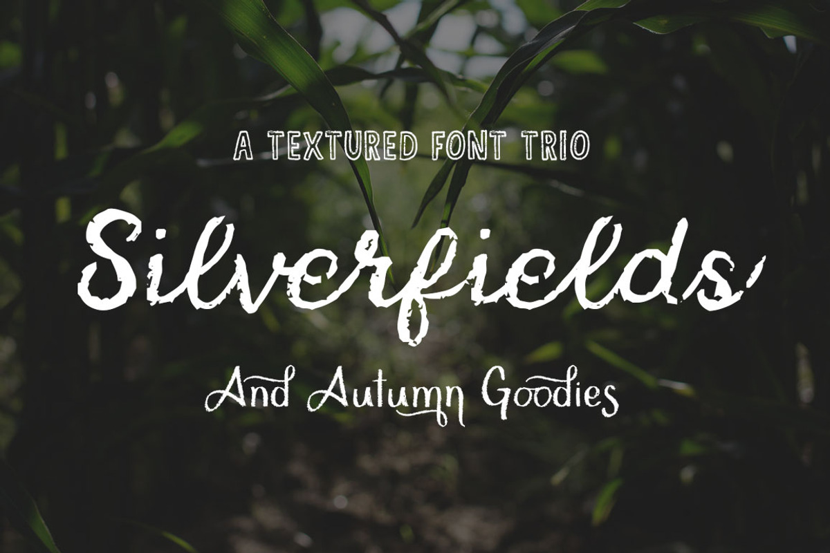 Silverfields - Font Trio + More