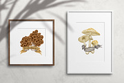 Poisonous mushrooms clipart, an Education Illustration by Yelloo Fish (Thumbnail 2 of 10)