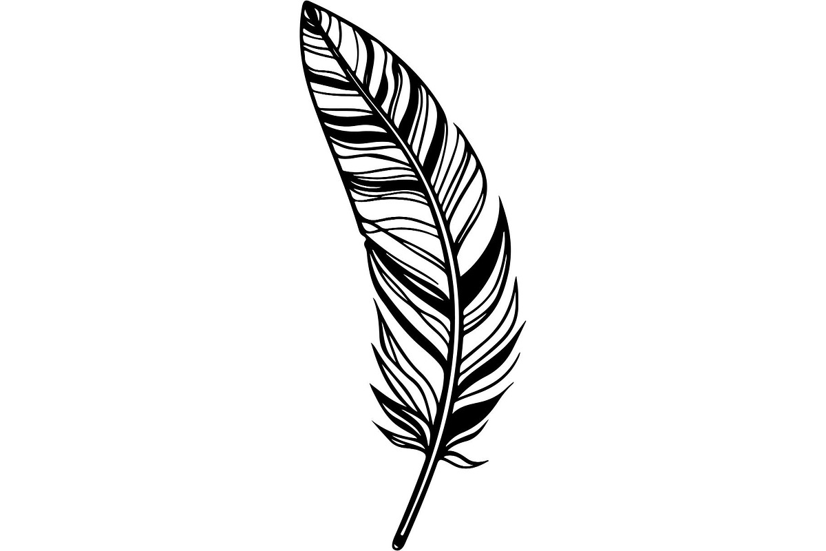 Feather SVG Bundle, an Object Graphic by Designer_Momina (Photo 4 of 18)
